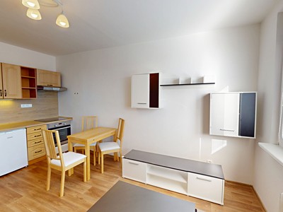 Pronájem bytu 1+1 30 m² (Jednopodlažní)