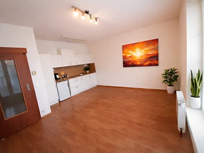 Pronájem bytu 1+kk 35 m² (Jednopodlažní)