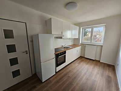 Pronájem bytu 2+1 63 m² (Jednopodlažní)