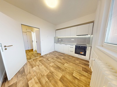 Pronájem bytu 1+1 39 m²