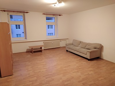 Pronájem bytu 1+1 45 m² (Jednopodlažní)
