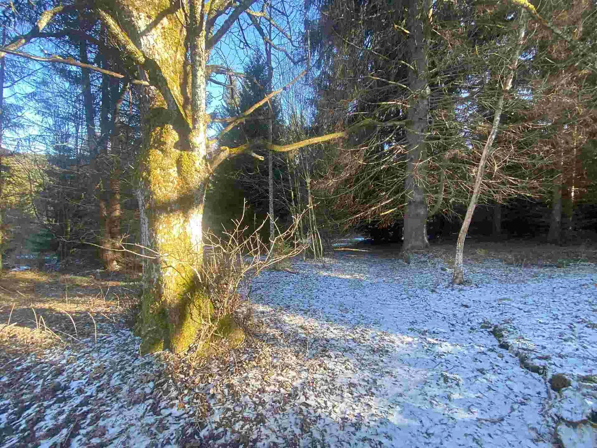 Prodej pozemku 2391 m²