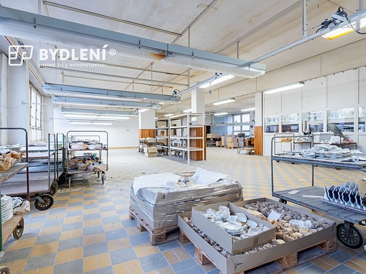 Prodej komerčního prostoru, 11 341 m² (18 z 30)