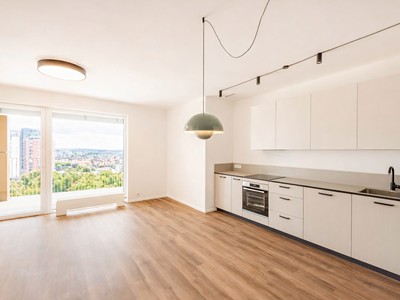 Pronájem bytu 4+kk 115 m² (Jednopodlažní)