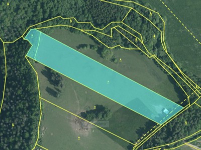 Prodej  louky 15 973 m²