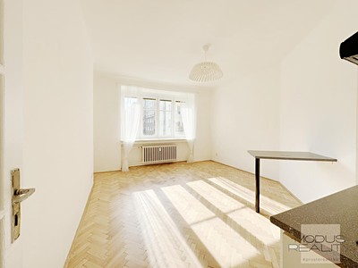 Pronájem bytu 1+kk 25 m² (Jednopodlažní)