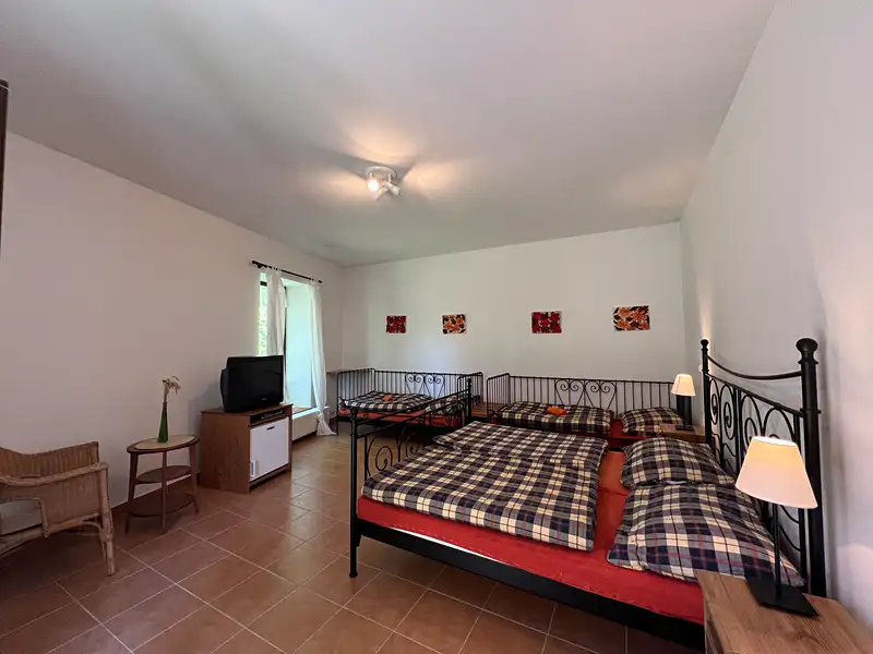 Prodej rodinného domu 500 m², pozemek 632 m², Zlatá Koruna – náhled fotky 3