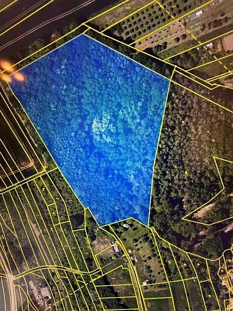 Prodej lesa 29958 m²