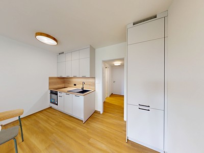 Pronájem bytu 1+kk 34 m²