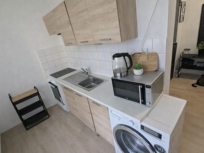 Pronájem bytu 1+1 40 m² (Jednopodlažní)