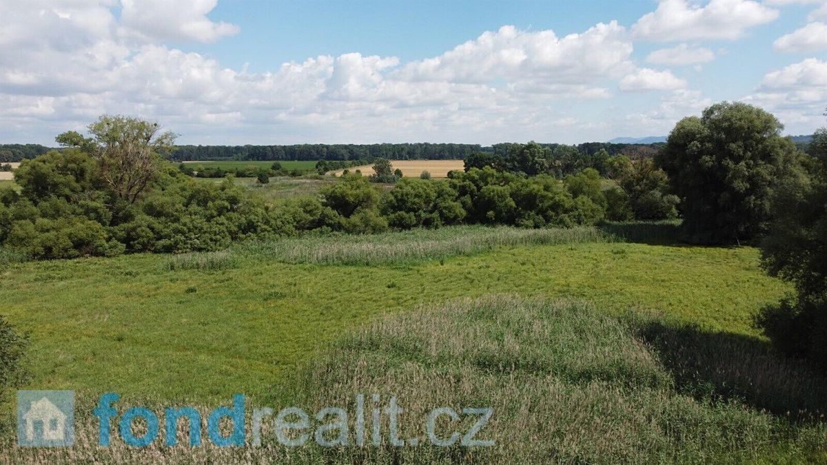 Prodej pozemku 2388 m² – fotografie 3