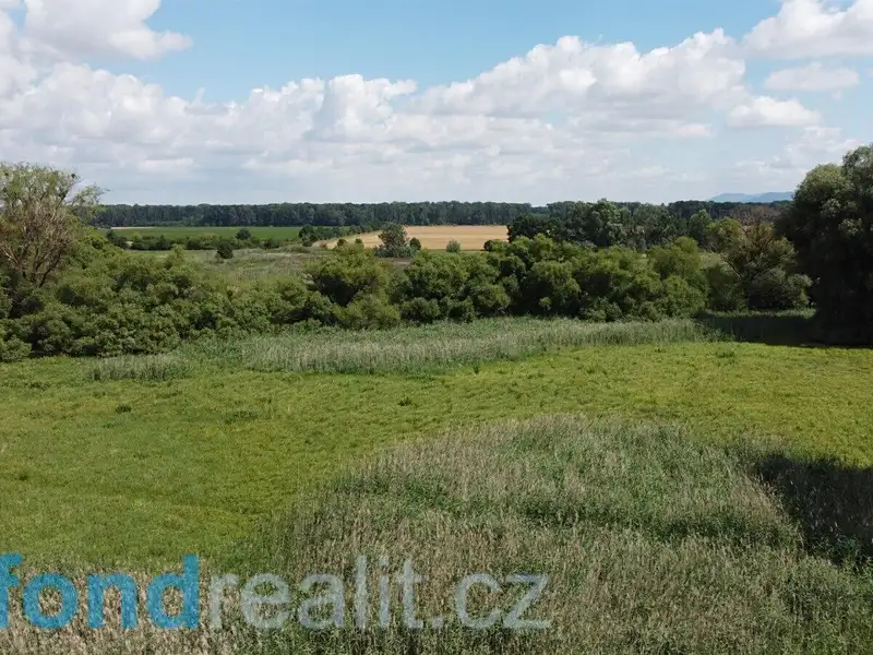 Prodej pozemku 2388 m², Střížovice – náhled fotky 3