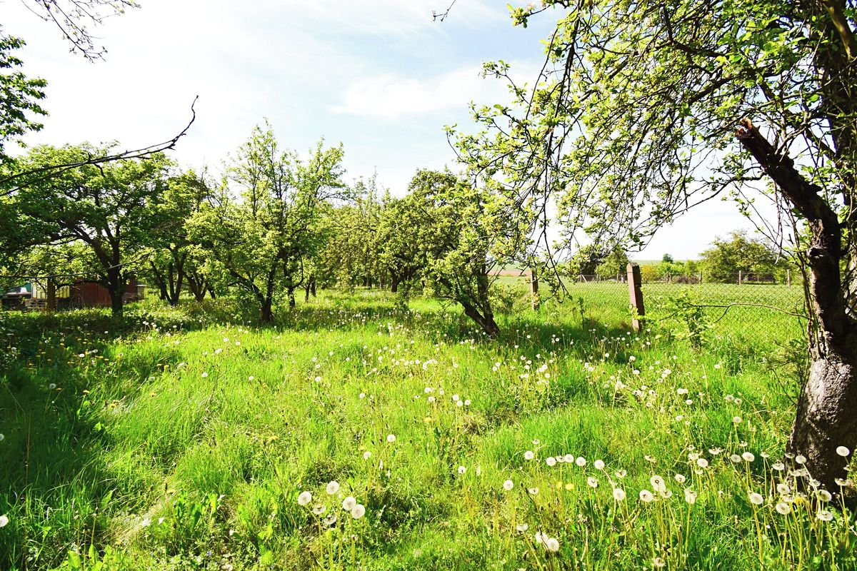 Prodej stavebního pozemku 2033 m² – fotografie 2
