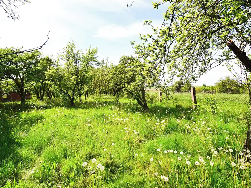 Prodej stavebního pozemku 2033 m², Ronov nad Doubravou – náhled fotky 2
