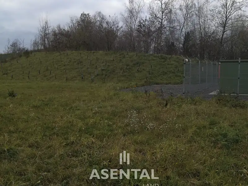 Prodej komerčního pozemku 19948 m², Orlová – náhled fotky 3