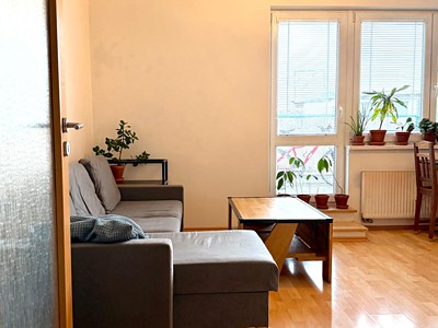 Pronájem bytu 2+kk 55 m²