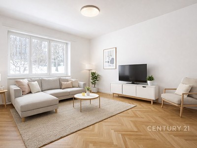 Pronájem bytu 1+1 38 m²