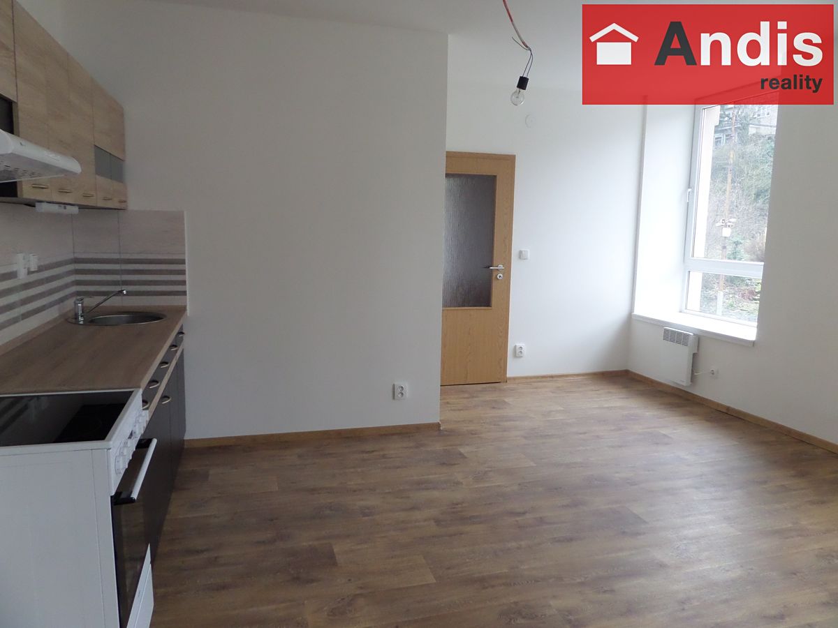 Pronájem bytu 2+1 51 m² – fotografie 3