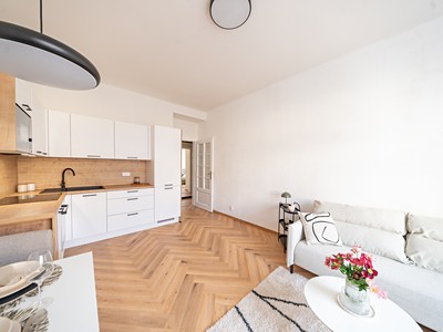 Prodej bytu 2+kk 46 m² (Jednopodlažní)