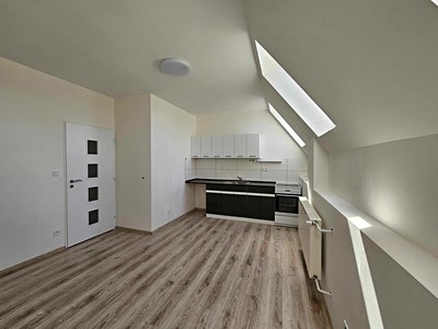 Pronájem bytu 2+kk 52 m² (Jednopodlažní)