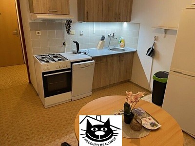 Pronájem bytu 1+1 44 m²