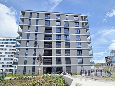 Pronájem bytu 1+kk 30 m² (Jednopodlažní)