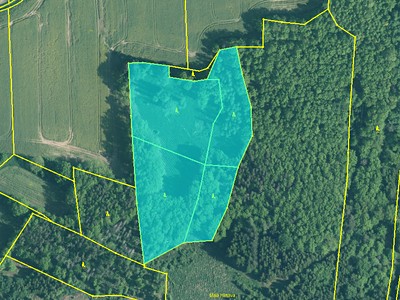 Prodej  lesa 19 204 m²