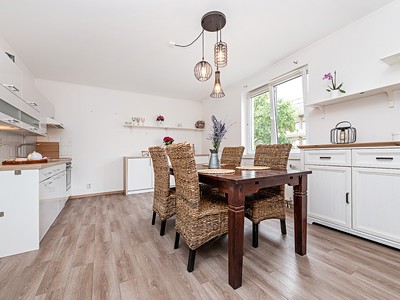 Pronájem bytu 1+1 55 m² (Jednopodlažní)