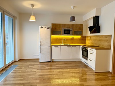 Pronájem bytu 1+kk 33 m² (Jednopodlažní)
