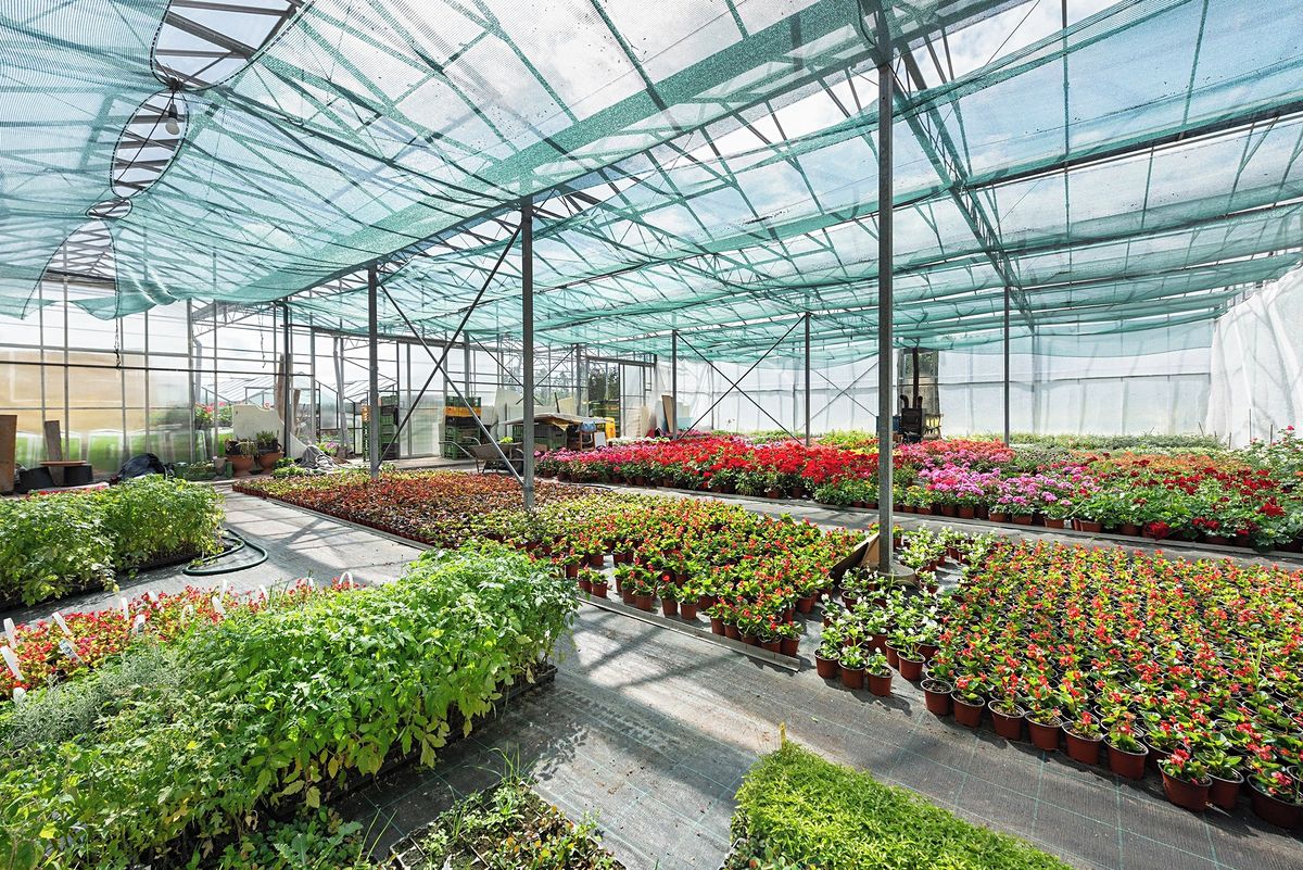 Prodej komerční nemovitosti 956 m² – fotografie 4