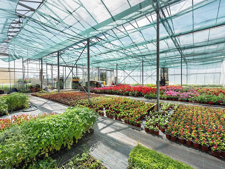 Gewerbefläche zum Kauf, 956 m² (4 von 24)