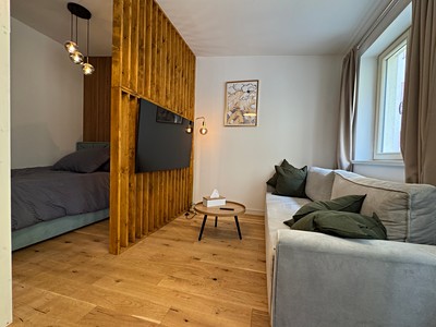 Pronájem bytu 1+kk 39 m²