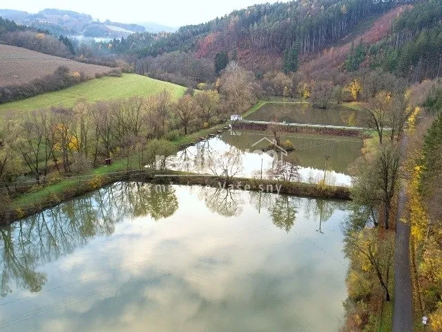 Fotka 9 z 13