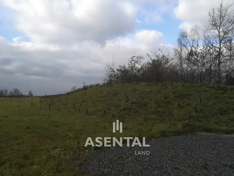 Prodej komerčního pozemku 19948 m², Orlová – náhled fotky 2
