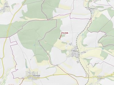Dražba  lesa 1 643 m²
