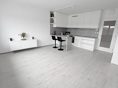Pronájem bytu 1+kk 34 m² (Jednopodlažní)