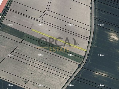 Prodej podílu 1/2  pole 1 306 m²