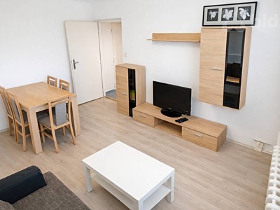 Pronájem bytu 2+1 48 m² — photo 3