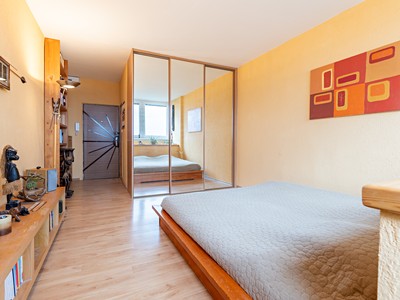 Pronájem bytu 1+kk 22 m² (Jednopodlažní)