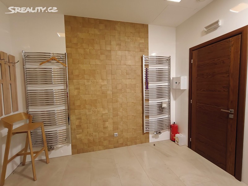 Pronájem obchodního prostoru 16 m², Teplice