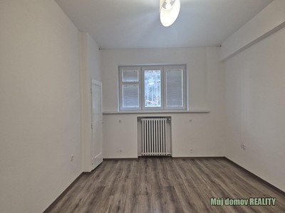 Pronájem bytu 1+kk 30 m² (Jednopodlažní) — photo 3