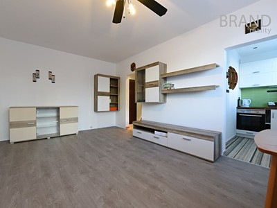 Pronájem bytu 1+1 30 m²