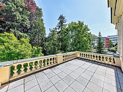 Pronájem  vily 827 m², pozemek 8 770 m² — photo 4