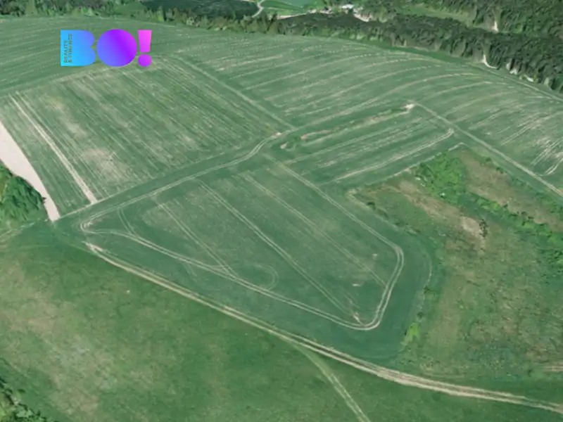 Prodej pole 16985 m², Kunštát – náhled fotky 3
