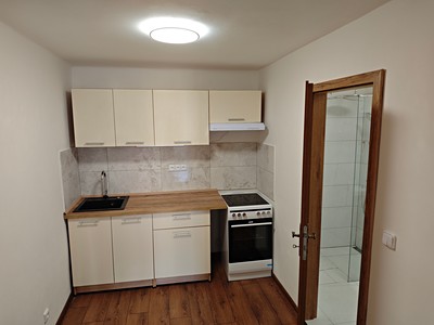 Pronájem bytu 1+1 28 m² (Podkrovní)