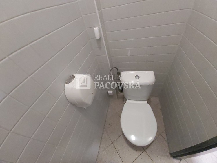 Pronájem komerčního prostoru, 62 m² (8 z 12)