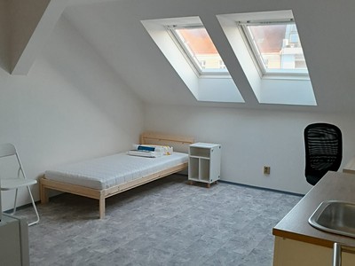 Pronájem  pokoje 14 m² (Jednopodlažní)