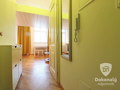 Pronájem bytu 1+kk 21 m² — photo 2