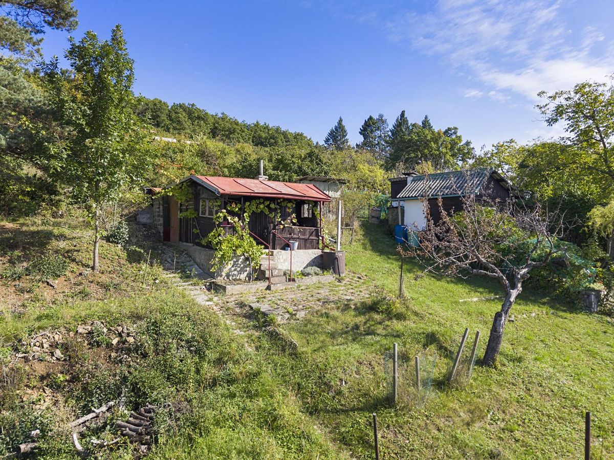 Prodej zahrady 1346 m² – fotografie 5