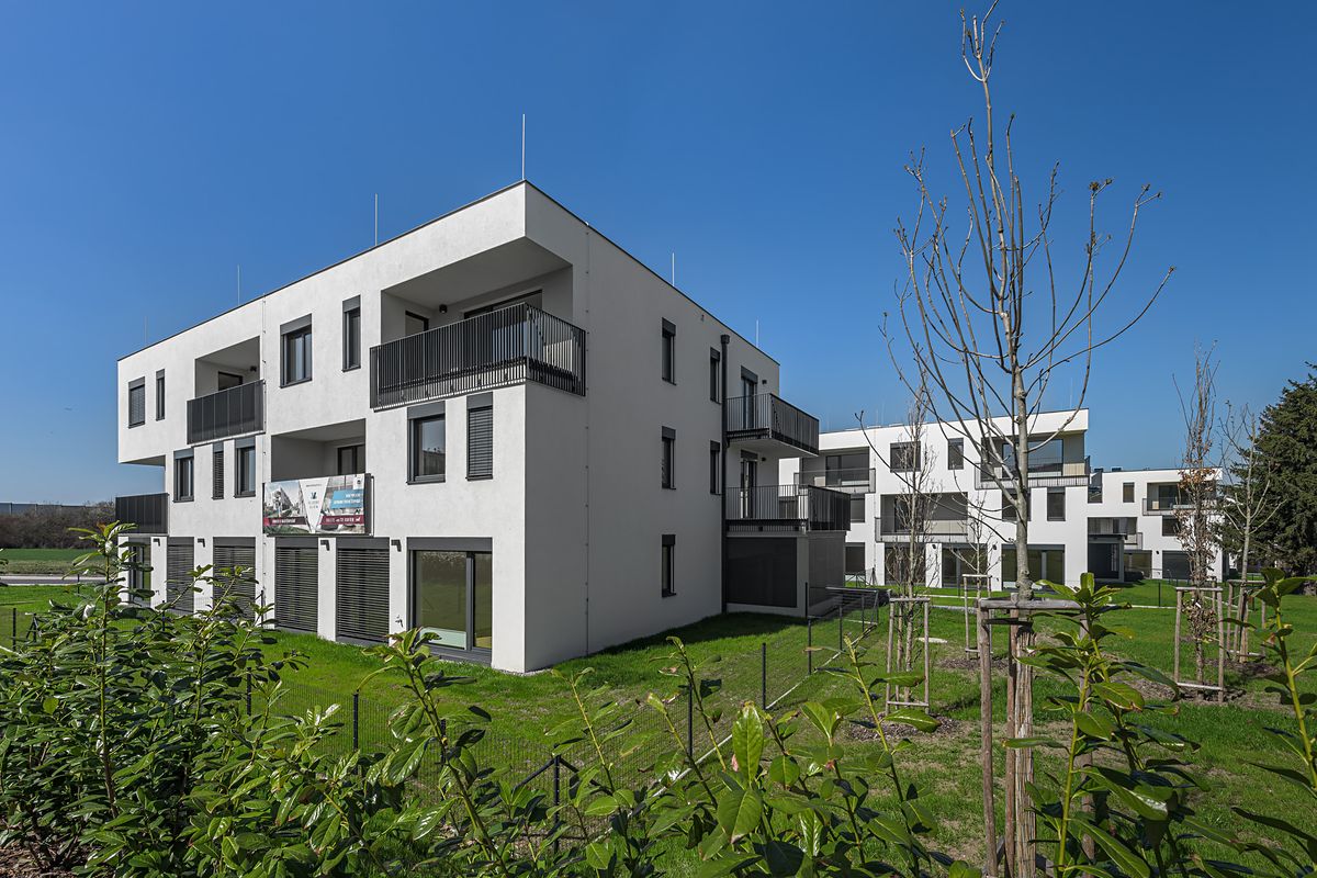 Prodej bytu 2+kk 55 m² (Jednopodlažní)